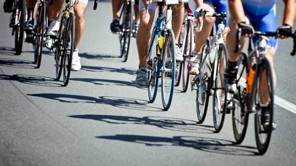 Course des Renards
