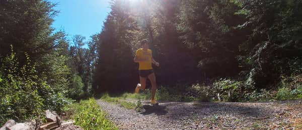 Wigoltinger Abendlauf