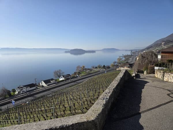 Marathon des 2 Vignobles